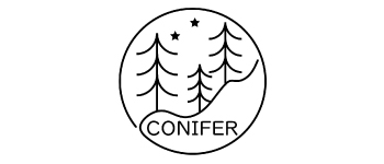 conifer