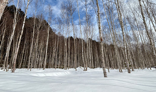 北広島かえるキャンプ場