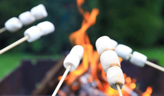 あさってキャンプ