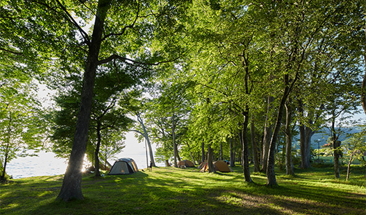 仲洞爺キャンプ場